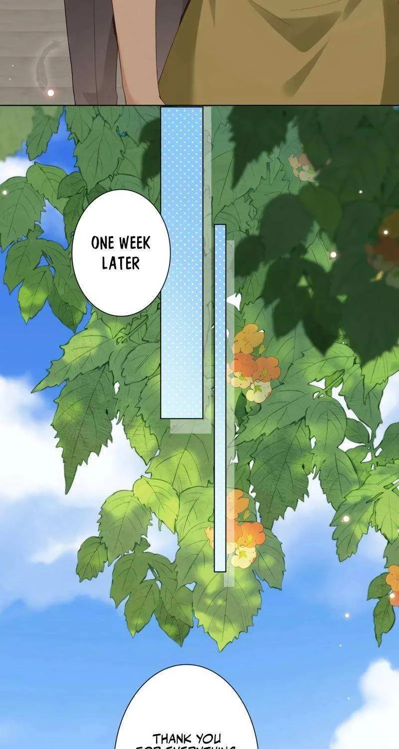 The Substitute Bride And The Overly affectionate Husband Chapter 27 page 13 - 