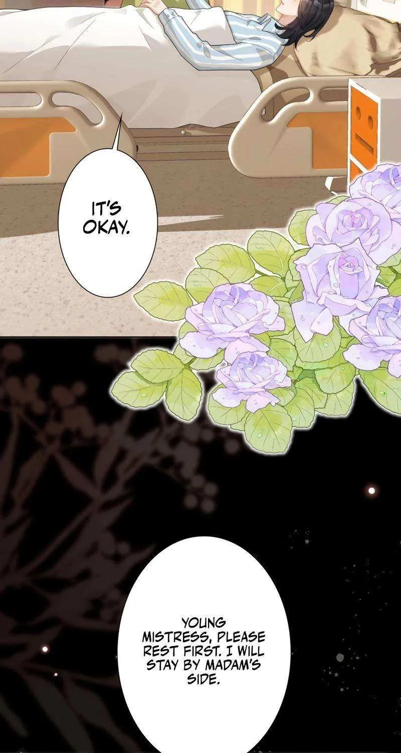The Substitute Bride And The Overly affectionate Husband Chapter 27 page 3 - 