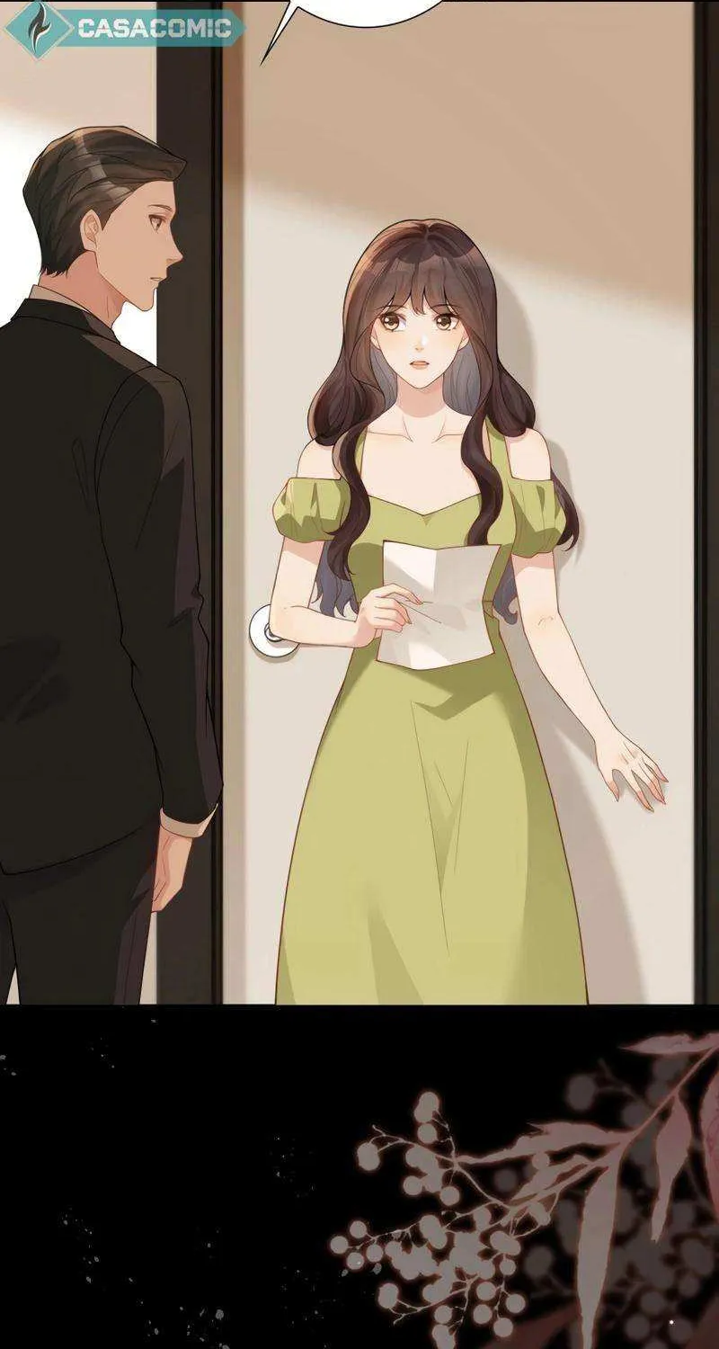 The Substitute Bride And The Overly affectionate Husband Chapter 27 page 4 - 