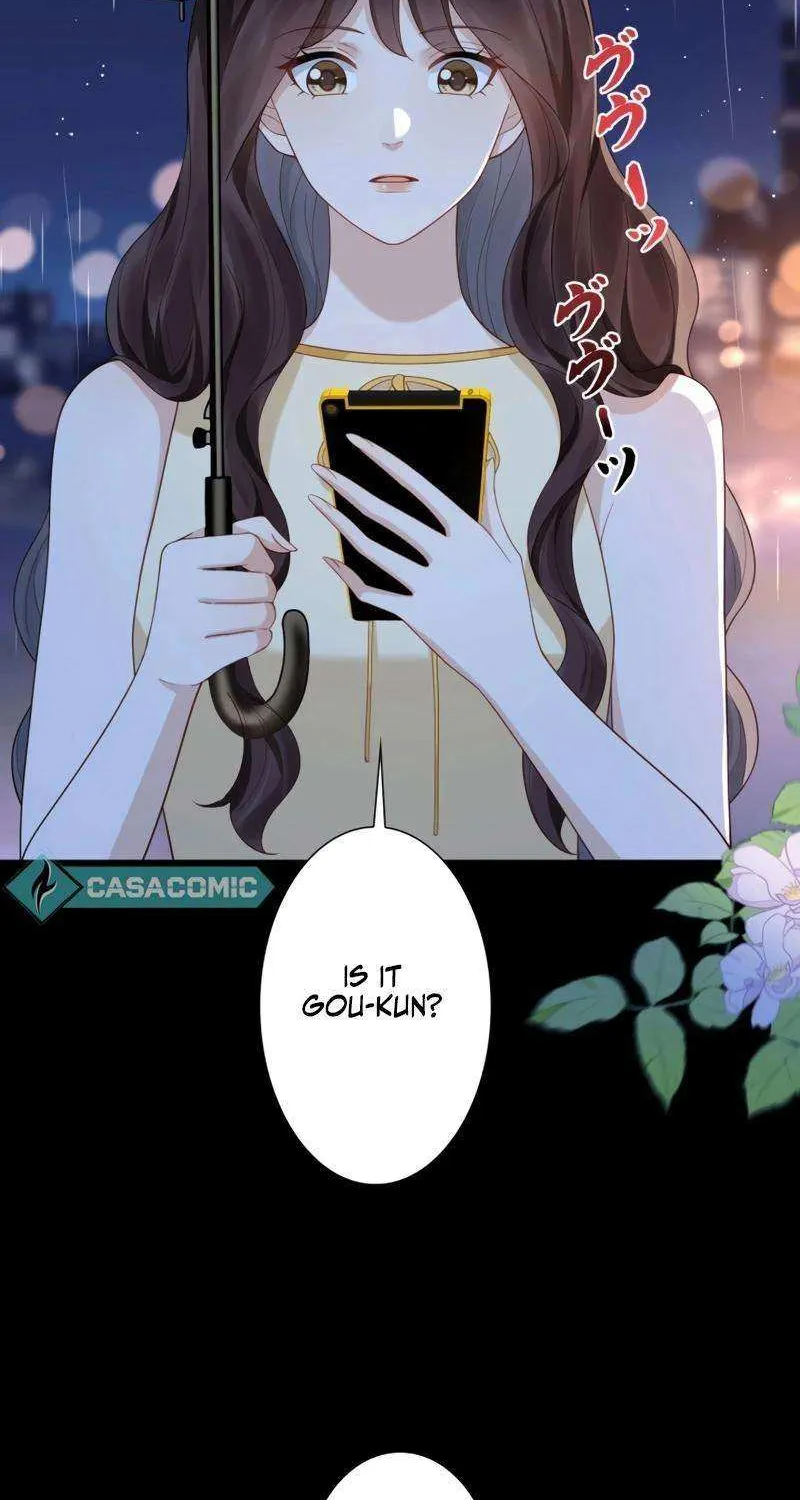 The Substitute Bride And The Overly affectionate Husband Chapter 29 page 26 - 