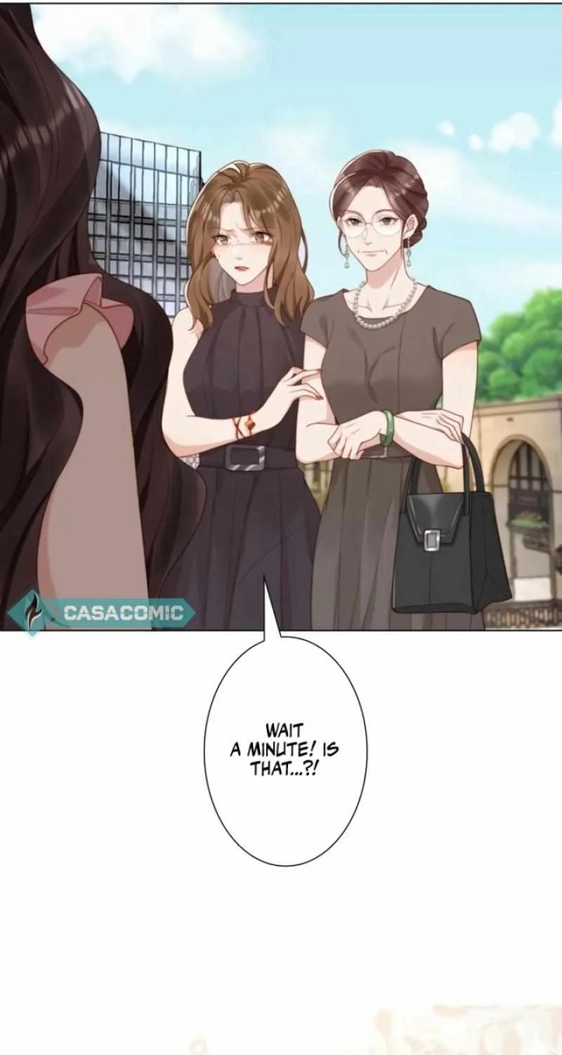 The Substitute Bride And The Overly affectionate Husband Chapter 3 page 65 - 