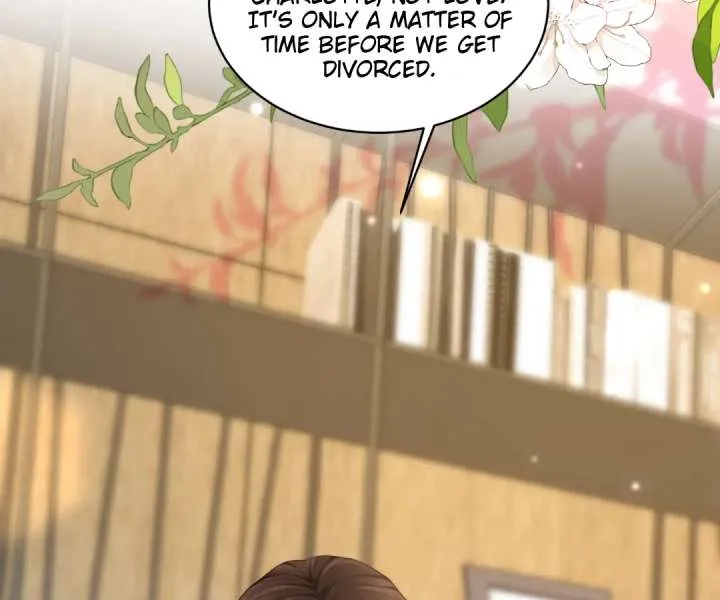 The Substitute Bride And The Overly affectionate Husband Chapter 47 page 4 - 