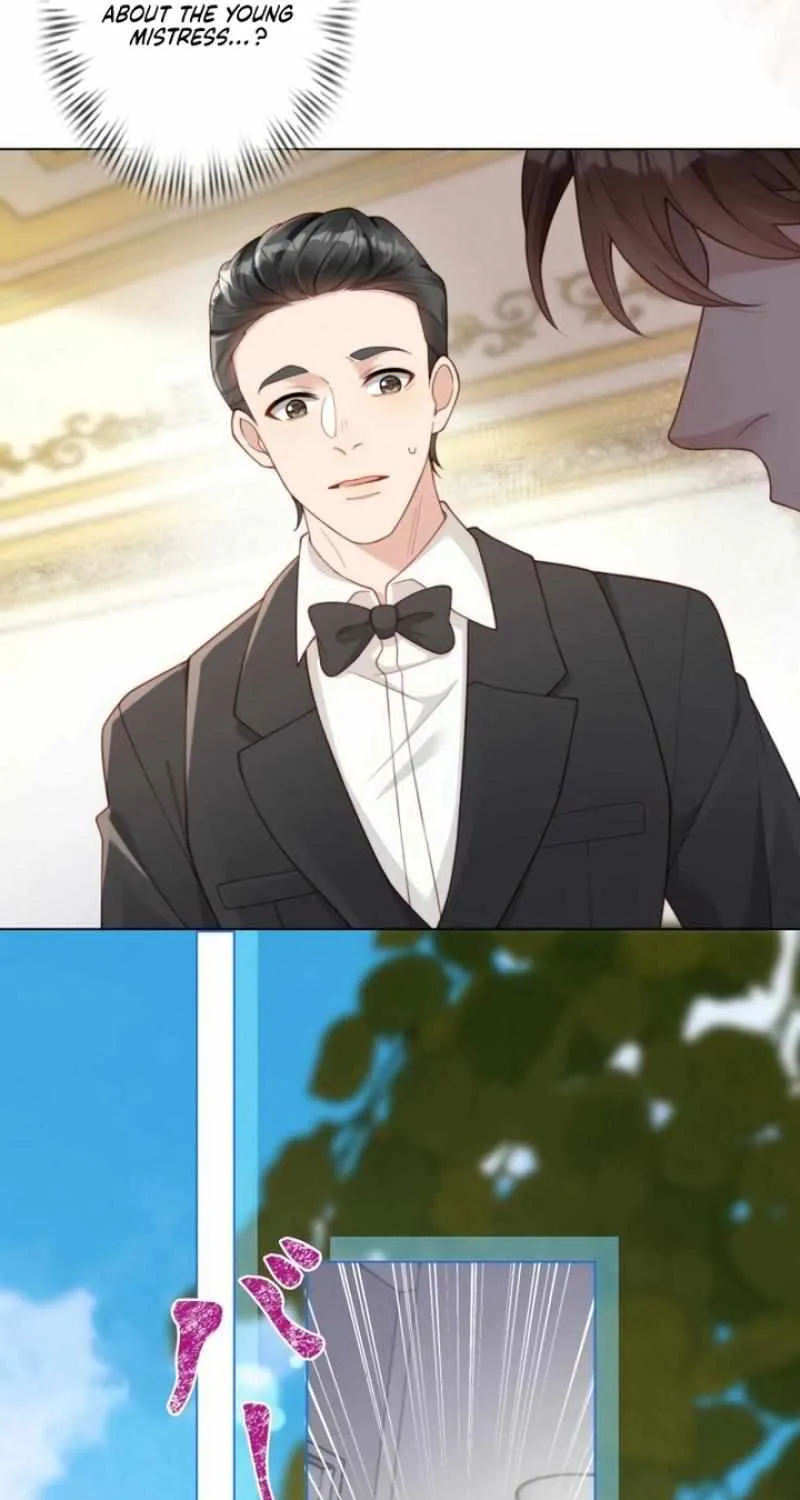 The Substitute Bride And The Overly affectionate Husband Chapter 5 page 27 - 