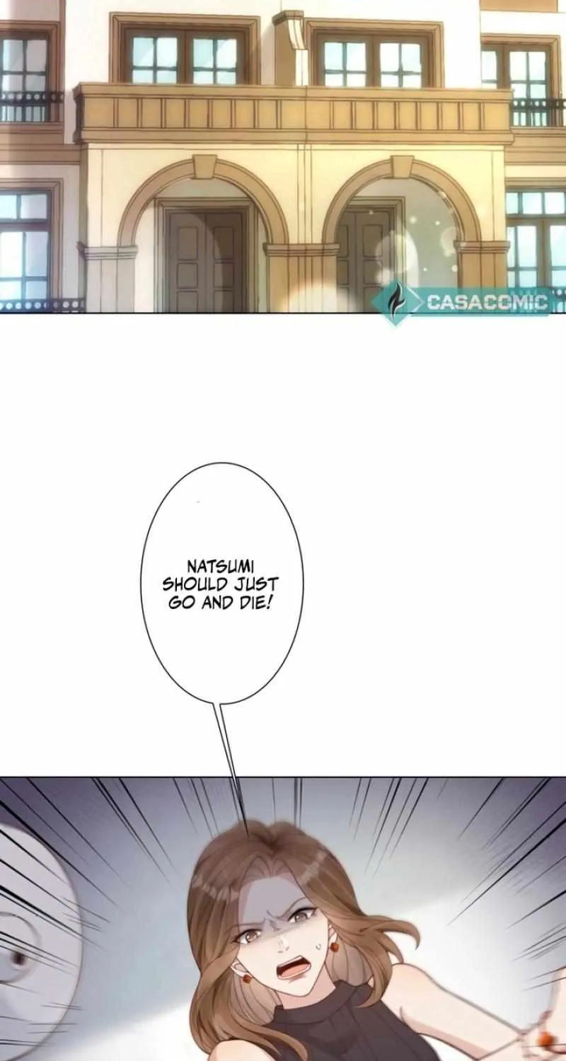 The Substitute Bride And The Overly affectionate Husband Chapter 5 page 29 - 