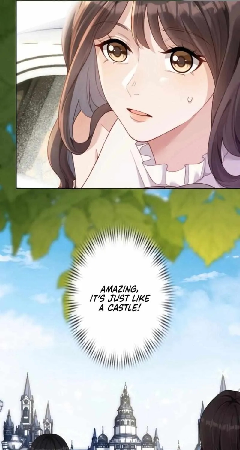The Substitute Bride And The Overly affectionate Husband Chapter 5 page 44 - 