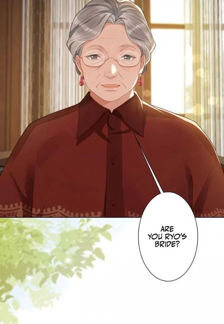 The Substitute Bride And The Overly affectionate Husband Chapter 6 page 17 - 