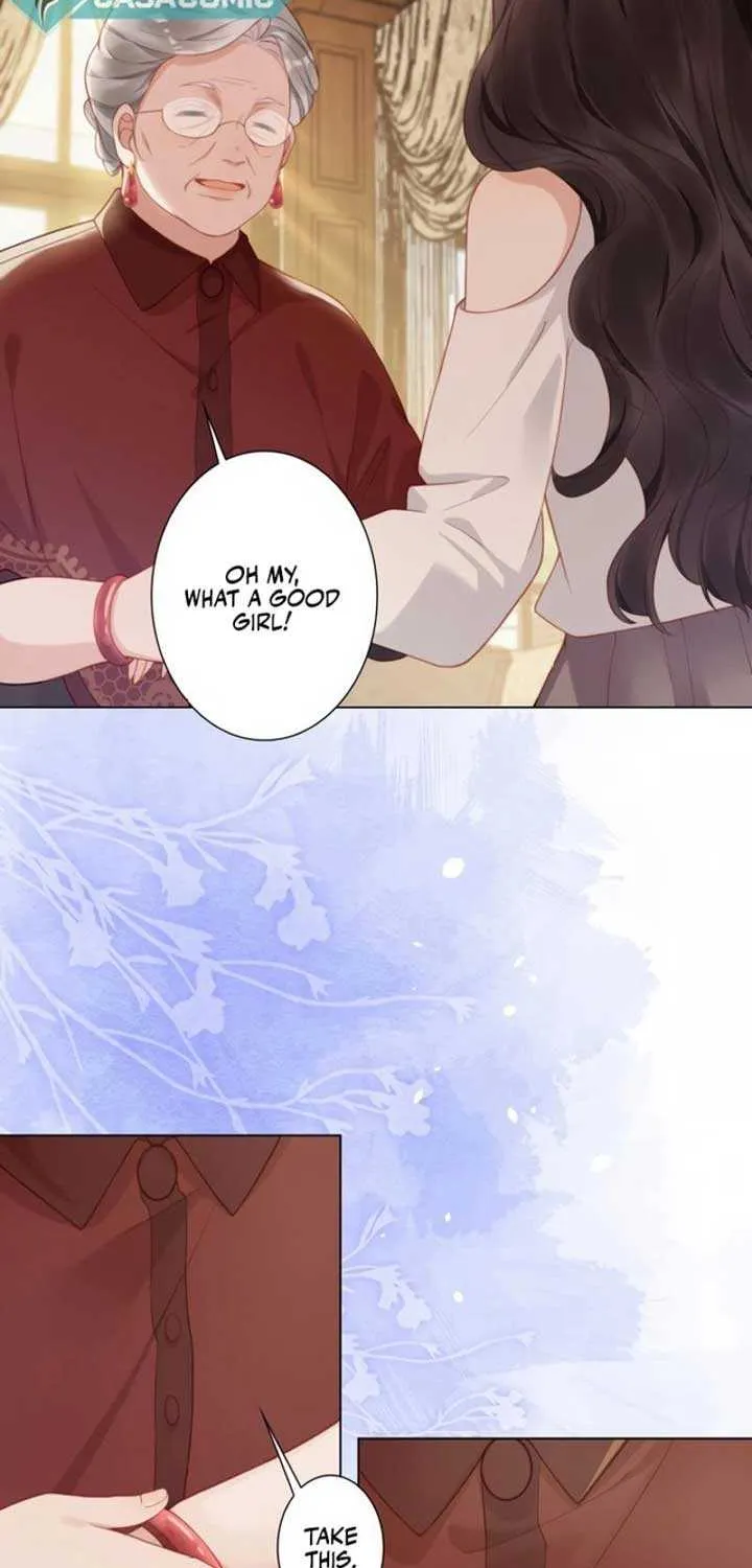 The Substitute Bride And The Overly affectionate Husband Chapter 6 page 24 - 