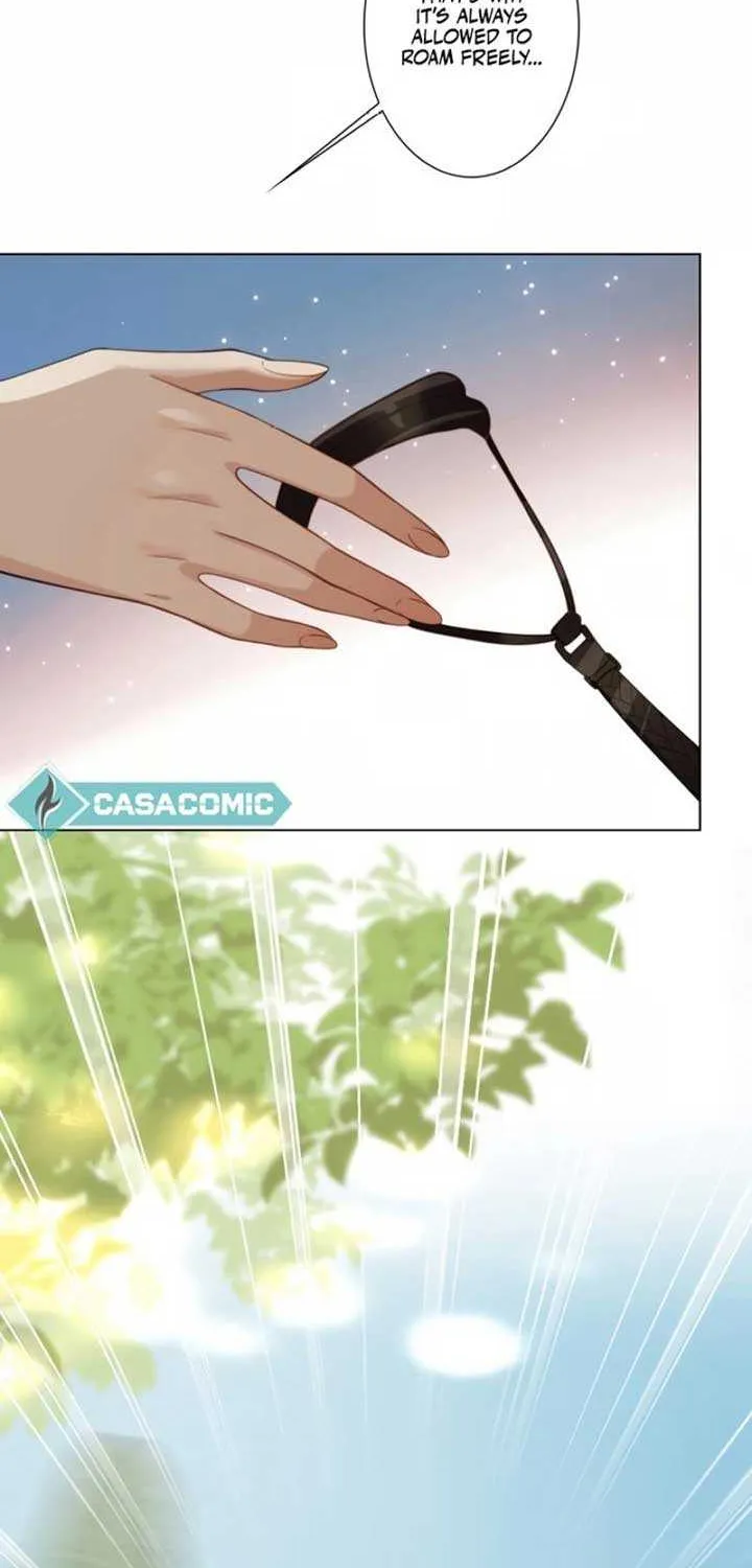 The Substitute Bride And The Overly affectionate Husband Chapter 6 page 67 - 