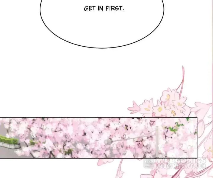 The Substitute Bride And The Overly affectionate Husband Chapter 61 page 115 - 