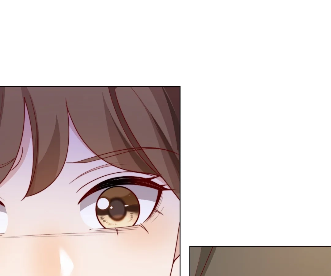 The Substitute Bride And The Overly affectionate Husband Chapter 73 page 65 - 