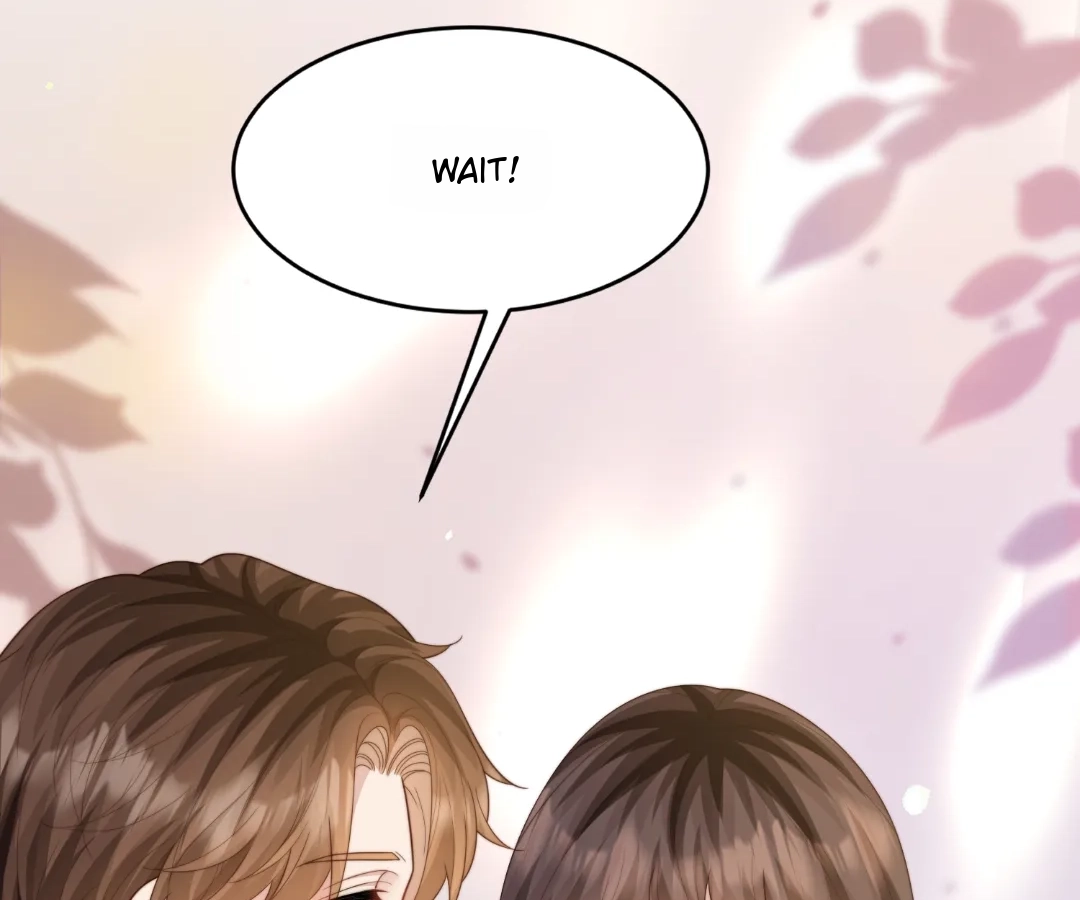 The Substitute Bride And The Overly affectionate Husband Chapter 74 page 37 - 