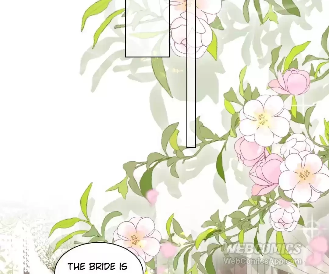 The Substitute Bride And The Overly affectionate Husband Chapter 84 page 19 - 