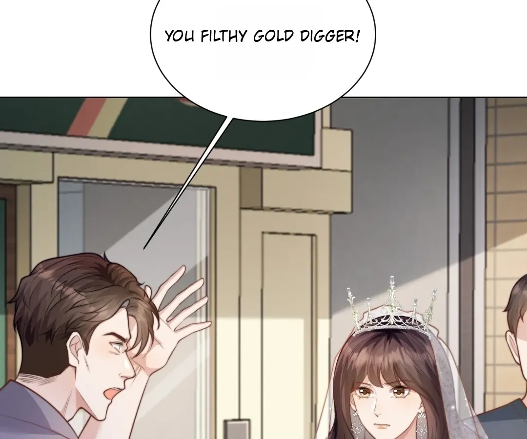 The Substitute Bride And The Overly affectionate Husband Chapter 85 page 14 - 