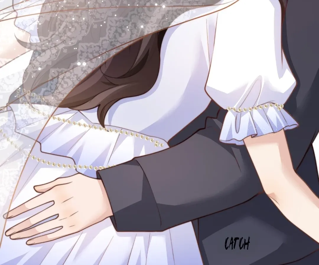 The Substitute Bride And The Overly affectionate Husband Chapter 85 page 23 - 