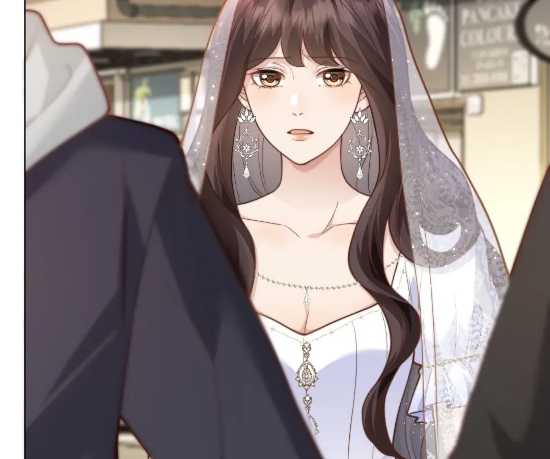 The Substitute Bride And The Overly affectionate Husband Chapter 85 page 28 - 