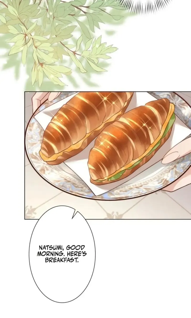 The Substitute Bride And The Overly affectionate Husband Chapter 9 page 25 - 