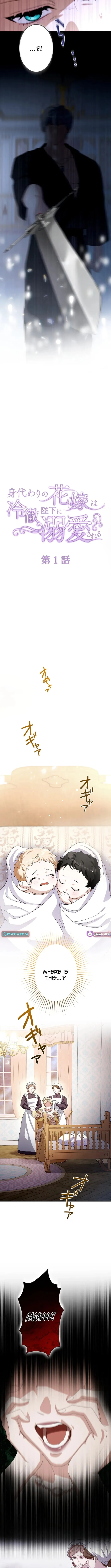 The Substitute is Doted on by the Cold-Hearted Majesty Chapter 1 page 3 - 