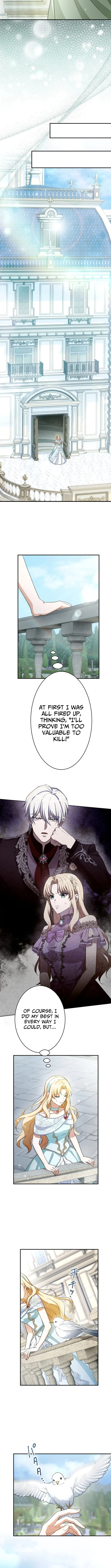 The Substitute is Doted on by the Cold-Hearted Majesty Chapter 14 page 8 - 