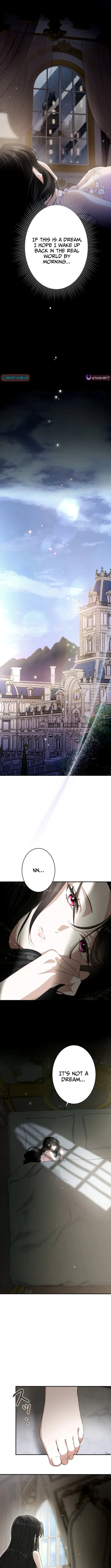 The Substitute is Doted on by the Cold-Hearted Majesty Chapter 2 page 4 - 