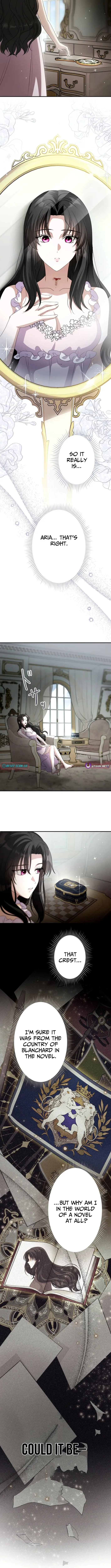 The Substitute is Doted on by the Cold-Hearted Majesty Chapter 2 page 5 - 