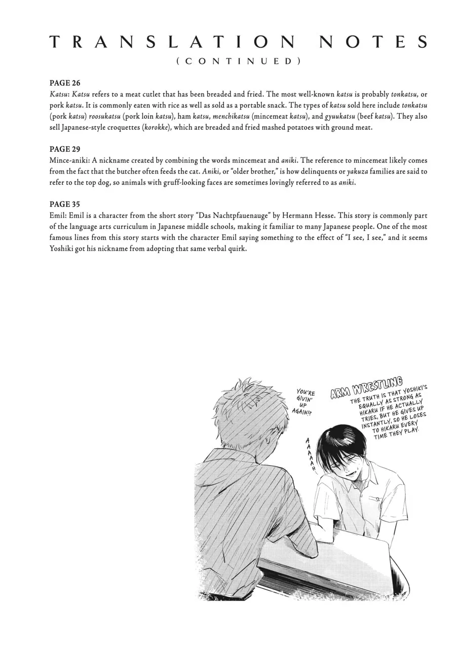 The Summer Hikaru Died Chapter 6.5 page 14 - 