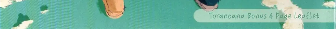 The Summer Hikaru Died Chapter 6.6 page 3 - 