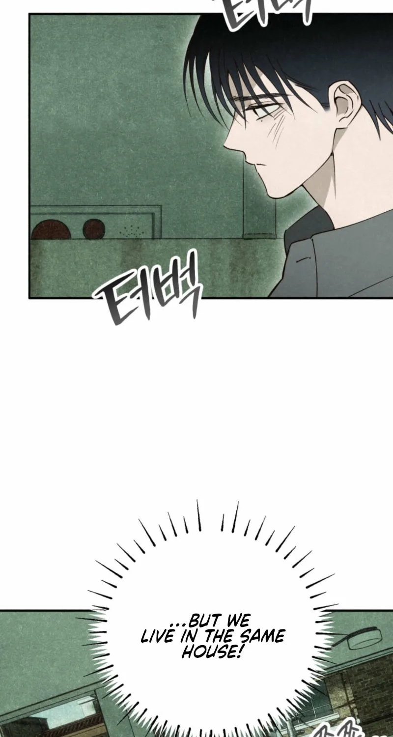 The Summer Swallowed by Darkness Chapter 21 page 36 - 