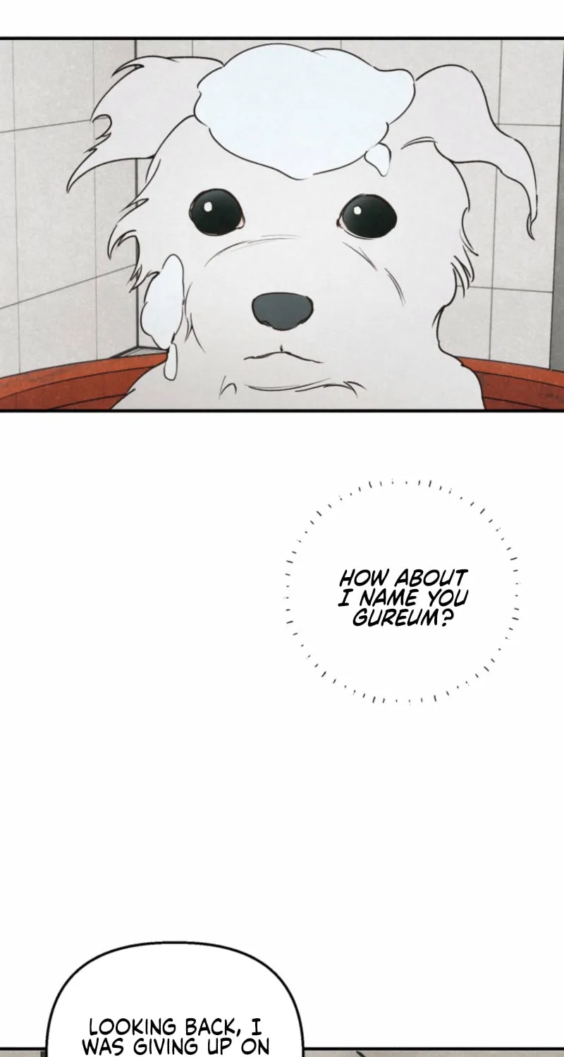 The Summer Swallowed by Darkness Chapter 22 page 36 - 