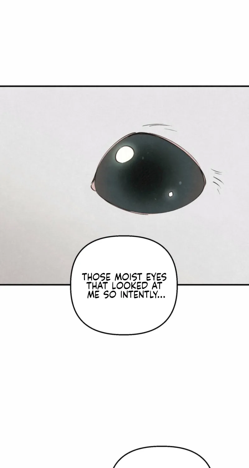 The Summer Swallowed by Darkness Chapter 22 page 39 - 