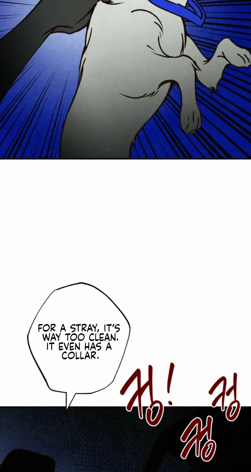 The Summer Swallowed by Darkness Chapter 23 page 71 - 