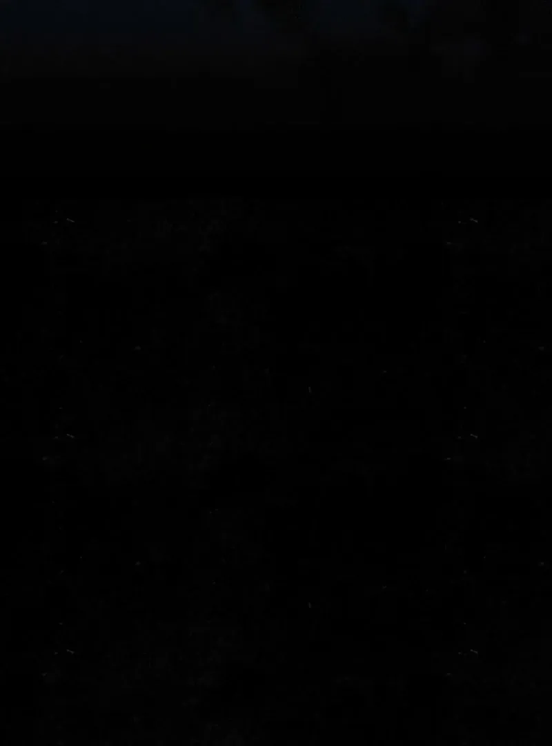 The Summer Swallowed by Darkness Chapter 25 page 137 - 