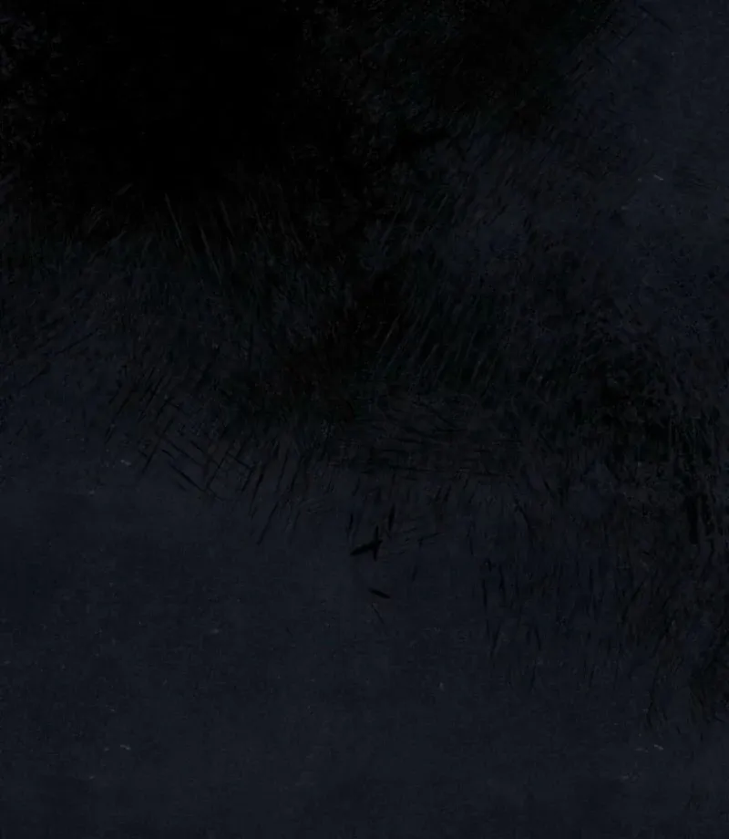 The Summer Swallowed by Darkness Chapter 26 page 117 - 