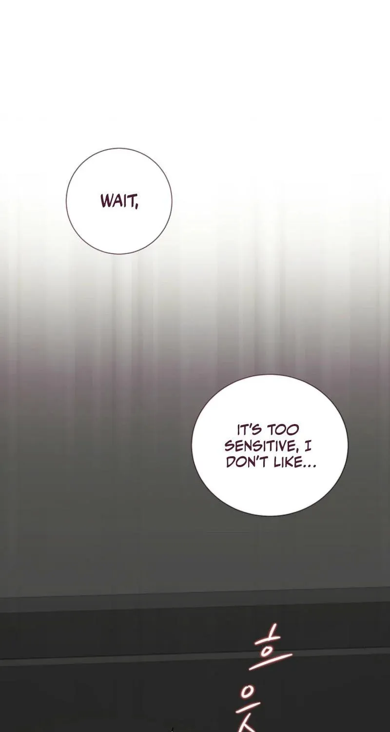 The Summer When You Came Chapter 1 page 1 - 