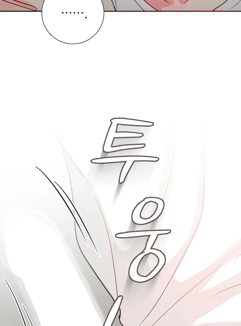 The Summer When You Came Chapter 28 page 16 - 