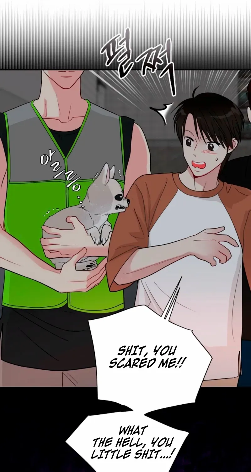 The Summer When You Came Chapter 29 page 11 - 