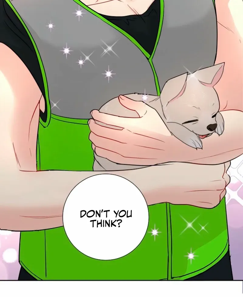 The Summer When You Came Chapter 29 page 29 - 