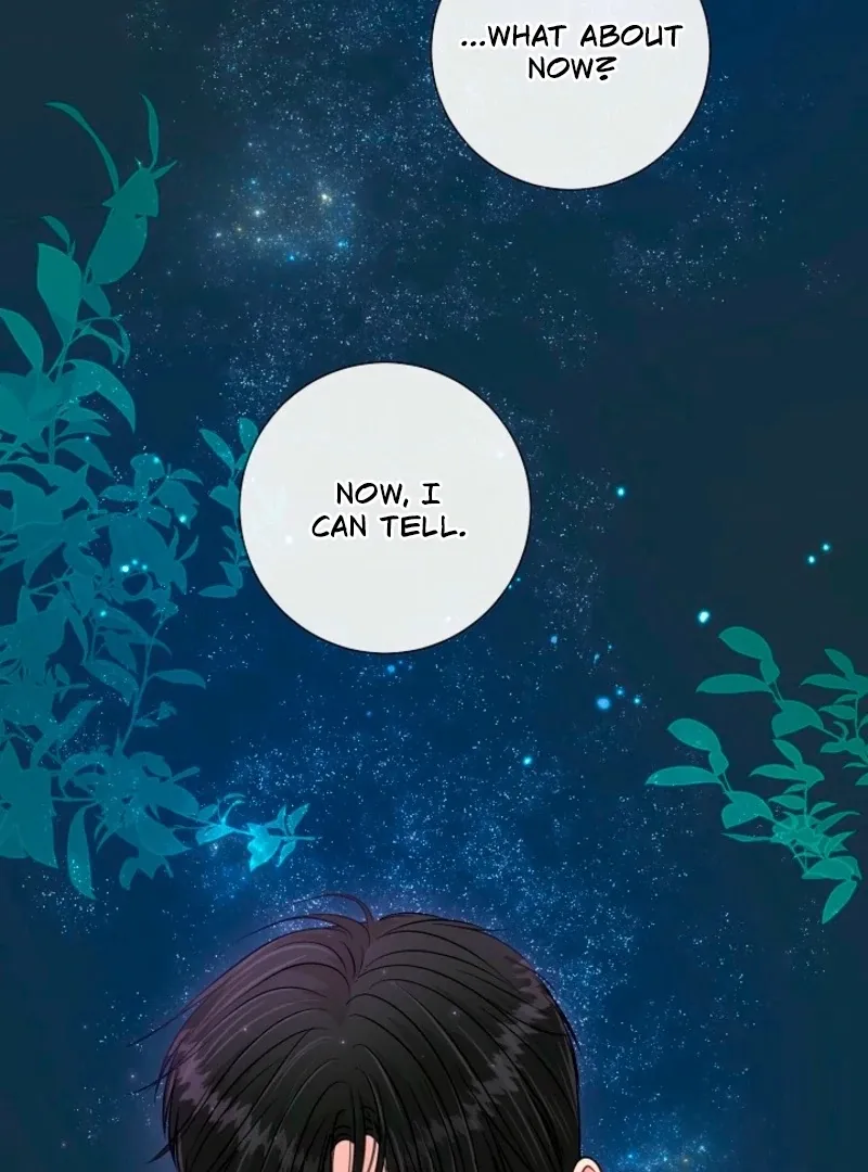 The Summer When You Came Chapter 32 page 82 - 