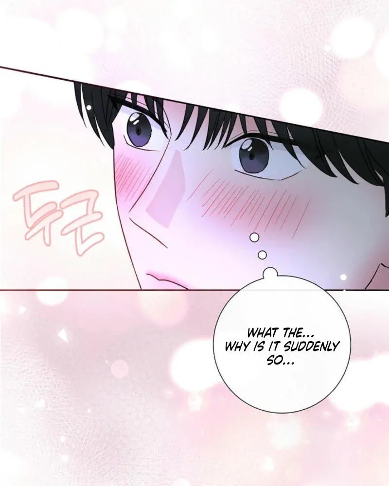 The Summer When You Came Chapter 6 page 75 - 