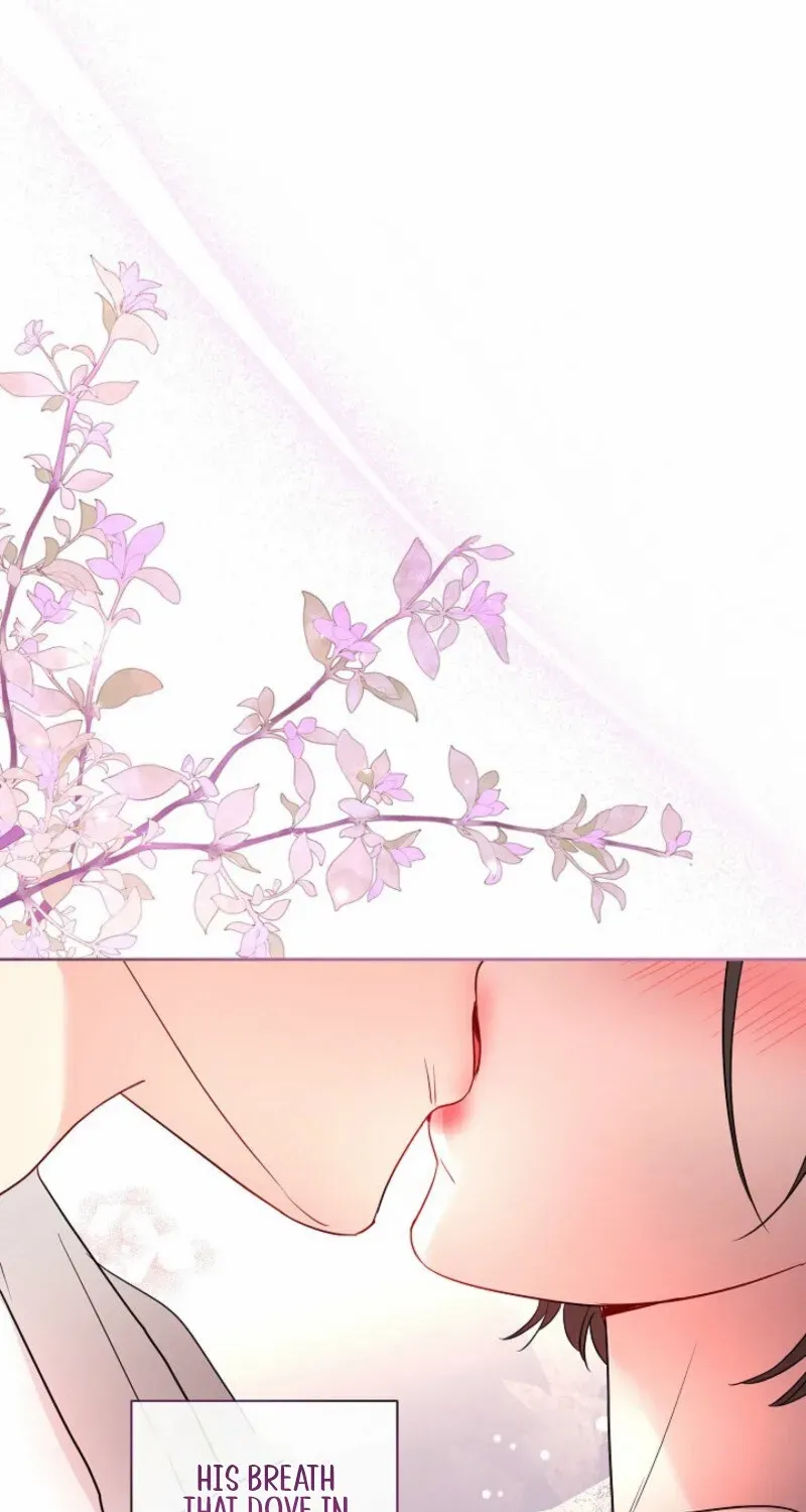 The Summer You Came Chapter 20 page 19 - 