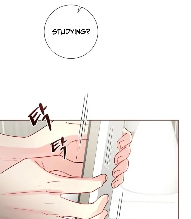 The Summer You Came Chapter 26 page 8 - 