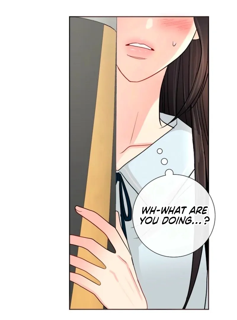 The Summer You Came Chapter 28 page 91 - 