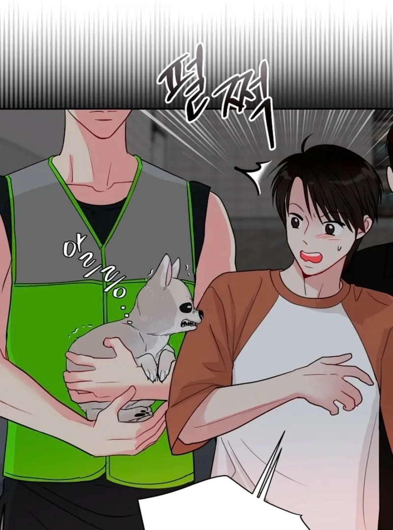 The Summer You Came Chapter 29 page 15 - 