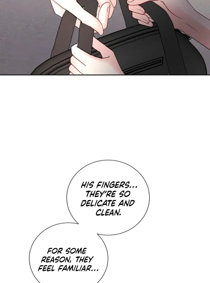 The Summer You Came Chapter 3 page 6 - 