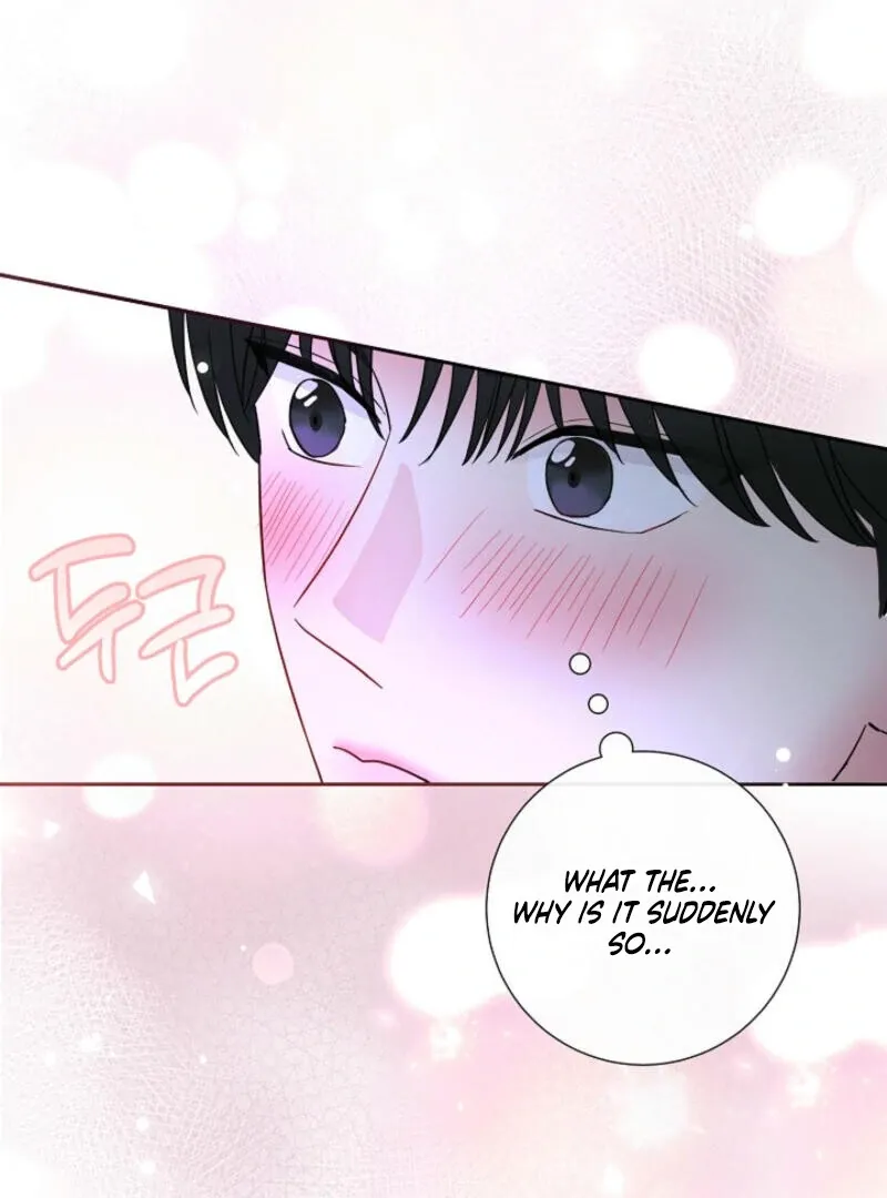 The Summer You Came Chapter 6 page 93 - 