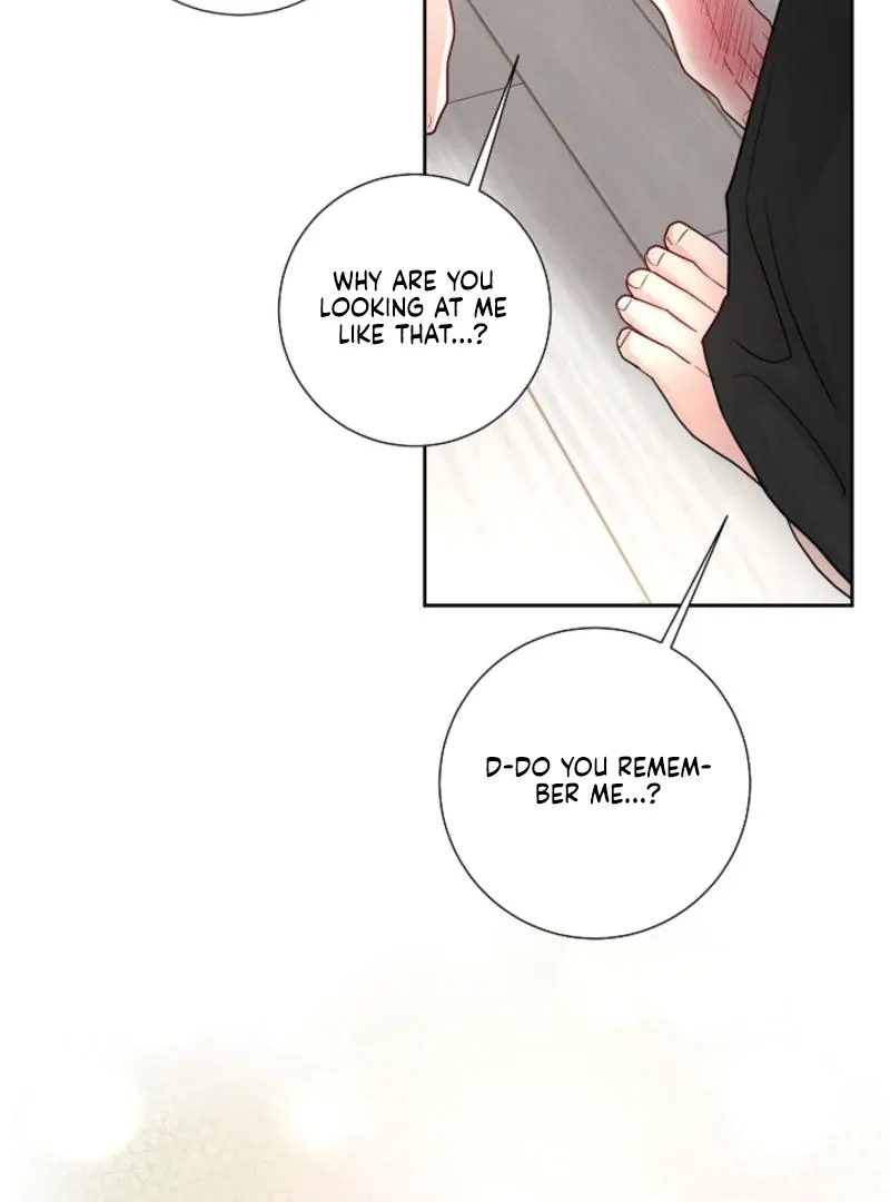 The Summer You Came Chapter 8 page 104 - 
