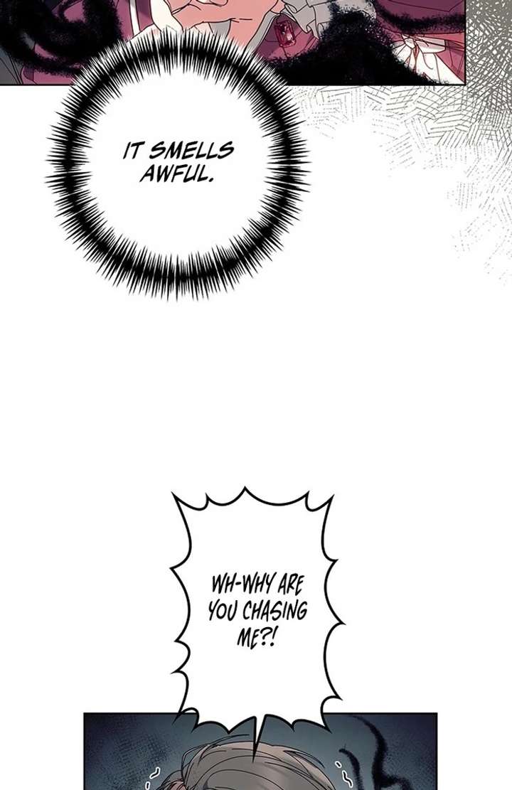 The Super-Strong Noble Lady Wants to Be Truly Weak Chapter 10 page 72 - 