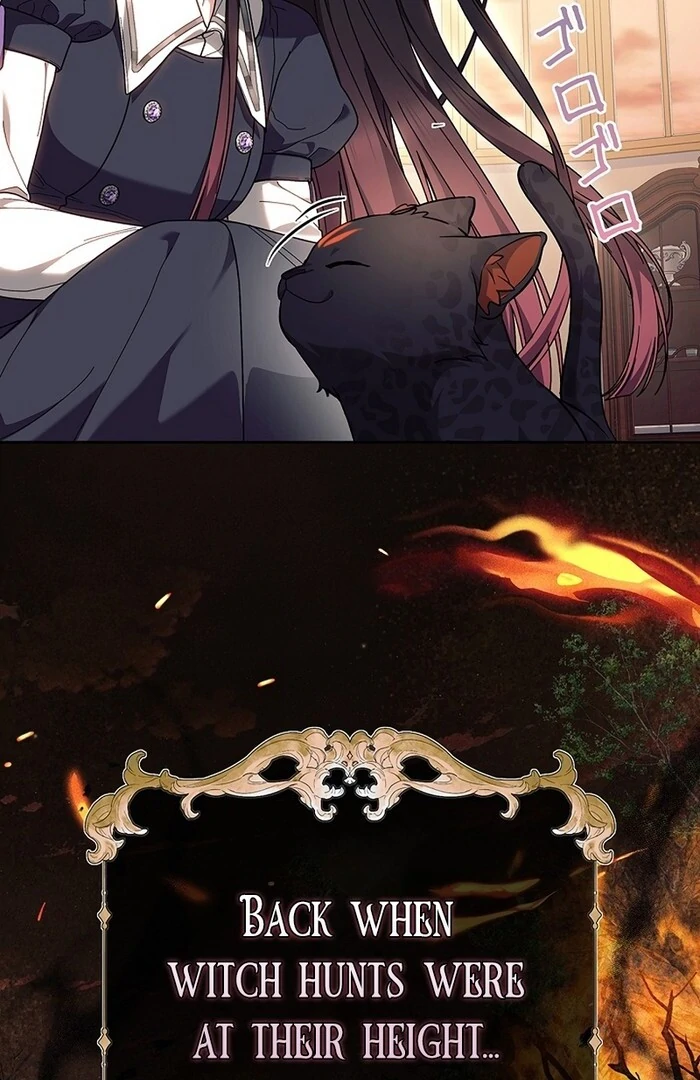 The Super-Strong Noble Lady Wants to Be Truly Weak Chapter 15 page 91 - 