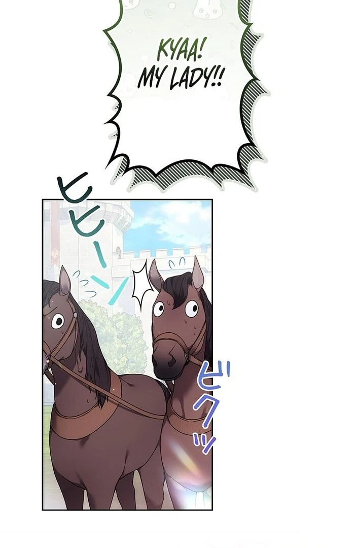 The Super-Strong Noble Lady Wants to Be Truly Weak Chapter 17 page 15 - 