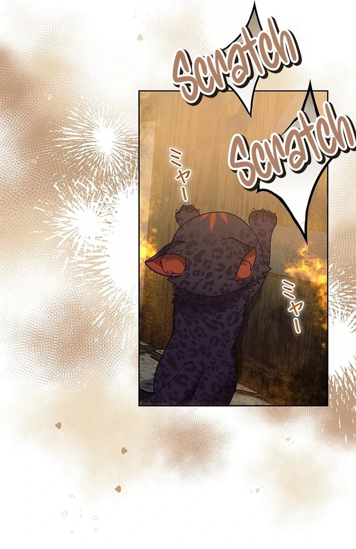The Super-Strong Noble Lady Wants to Be Truly Weak Chapter 18 page 50 - 