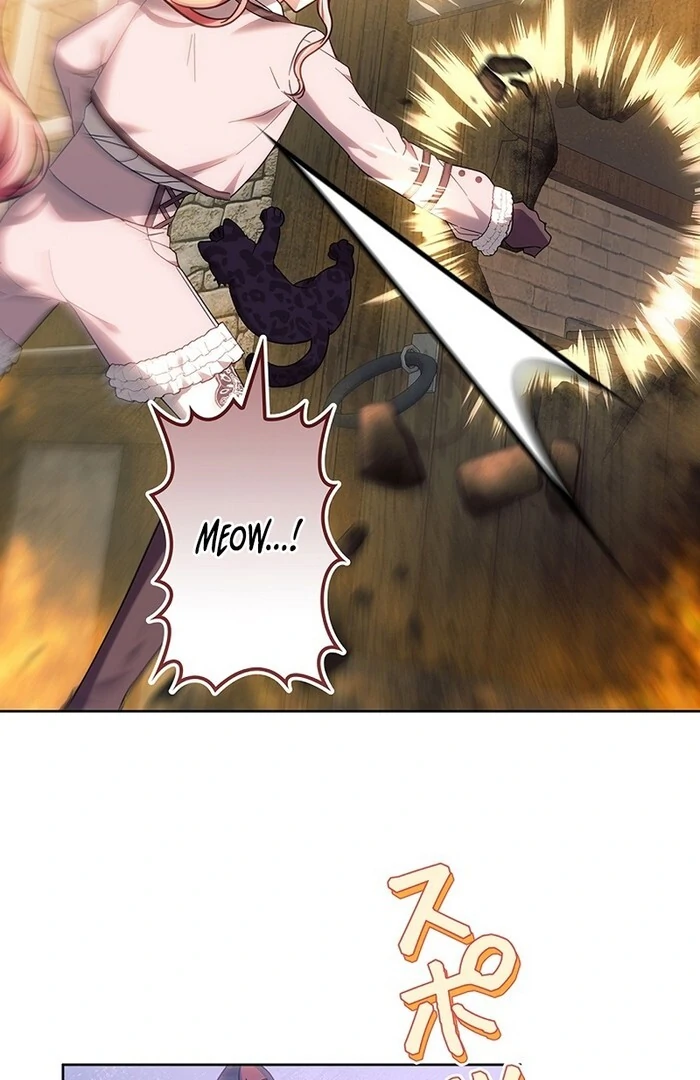 The Super-Strong Noble Lady Wants to Be Truly Weak Chapter 18 page 54 - 